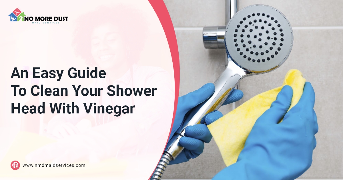 shower head cleaning potomac